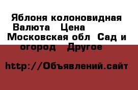 Яблоня колоновидная Валюта › Цена ­ 1 200 - Московская обл. Сад и огород » Другое   